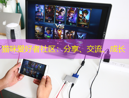 貓咪愛好者社區(qū)：分享、交流、成長