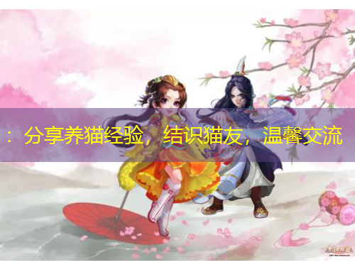 ：分享養(yǎng)貓經(jīng)驗(yàn)，結(jié)識(shí)貓友，溫馨交流