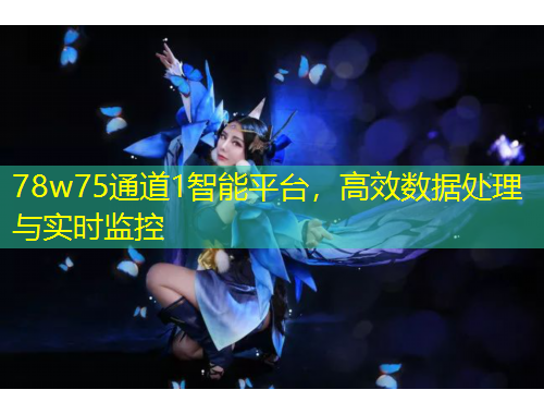 78w75通道1智能平臺，高效數(shù)據(jù)處理與實時監(jiān)控