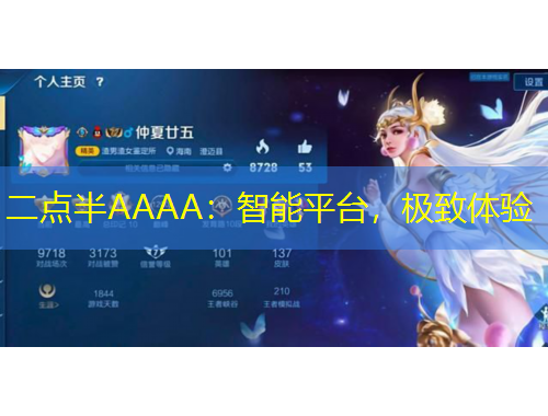 二點(diǎn)半AAAA：智能平臺(tái)，極致體驗(yàn)