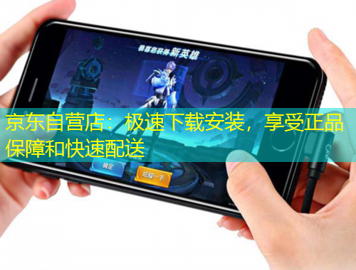 京東自營(yíng)店：極速下載安裝，享受正品保障和快速配送