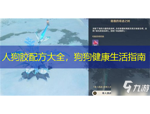 人狗膠配方大全，狗狗健康生活指南