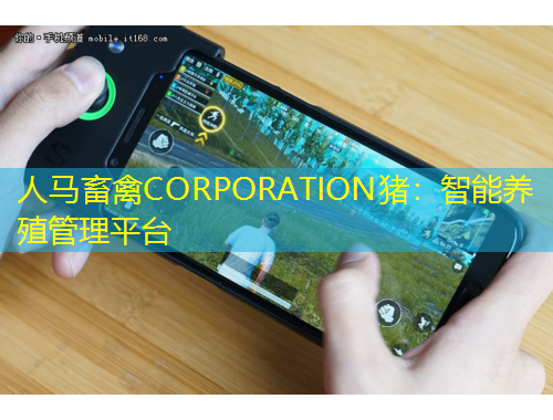人馬畜禽CORPORATION豬：智能養(yǎng)殖管理平臺