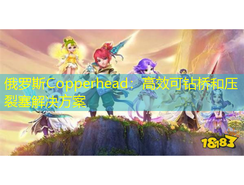 俄羅斯Copperhead：高效可鉆橋和壓裂塞解決方案