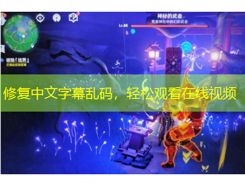 修復中文字幕亂碼，輕松觀看在線視頻