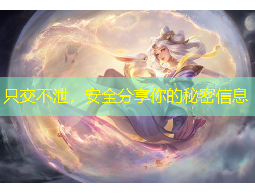 只交不泄，安全分享你的秘密信息