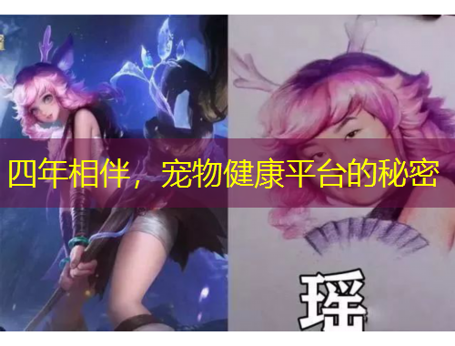 四年相伴，寵物健康平臺的秘密