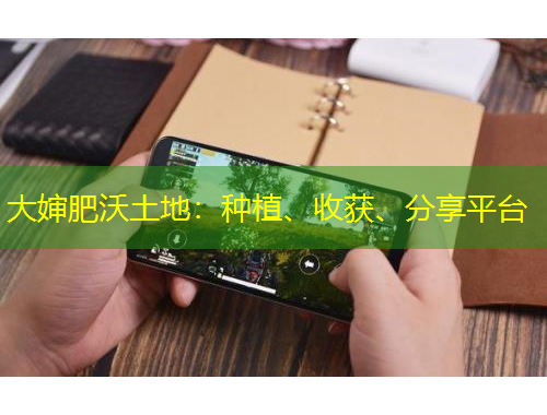 大嬸肥沃土地：種植、收獲、分享平臺