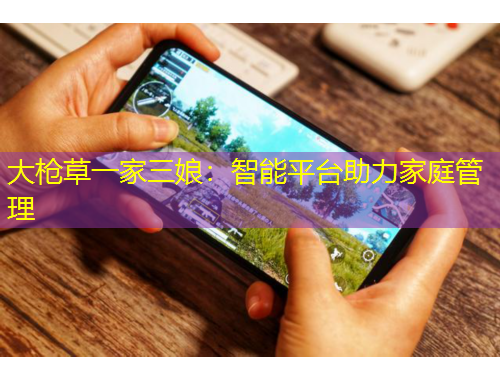 大槍草一家三娘：智能平臺(tái)助力家庭管理