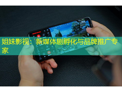 姐妹影視：新媒體劇孵化與品牌推廣專家