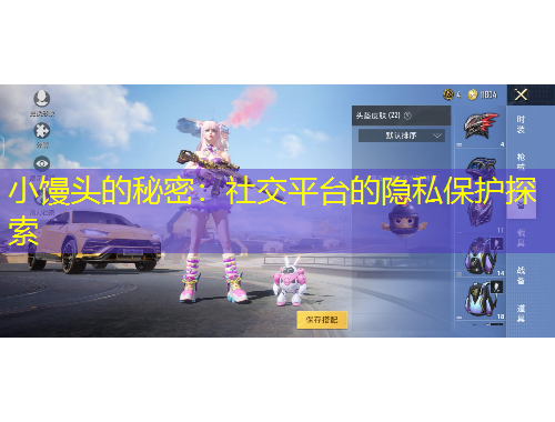 小饅頭的秘密：社交平臺的隱私保護探索