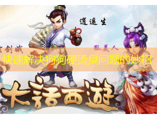 快速解決狗狗硬燙臭問題的妙招