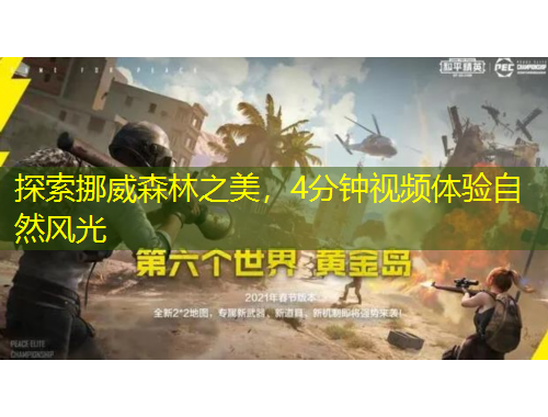 探索挪威森林之美，4分鐘視頻體驗(yàn)自然風(fēng)光