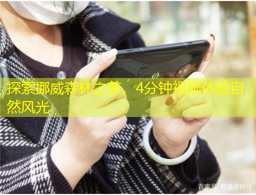 探索挪威森林之美，4分鐘視頻體驗(yàn)自然風(fēng)光