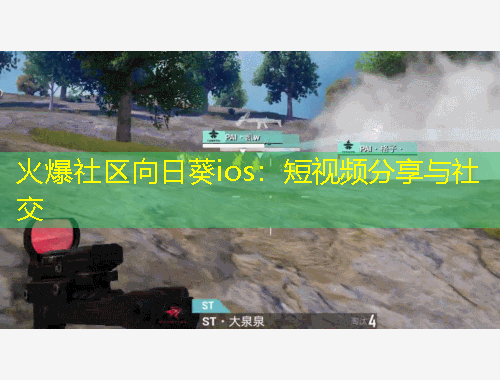 火爆社區(qū)向日葵ios：短視頻分享與社交