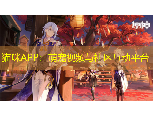 貓咪APP：萌寵視頻與社區(qū)互動(dòng)平臺(tái)