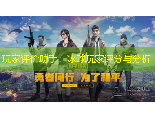 玩家評(píng)價(jià)助手：冰球玩家評(píng)分與分析