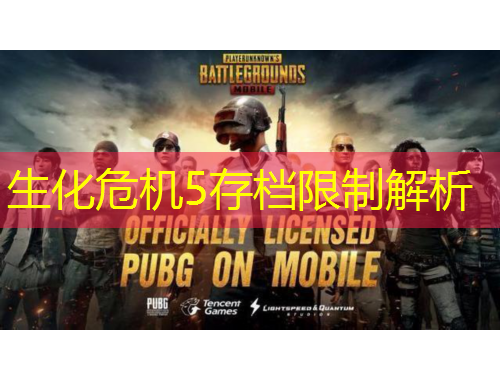 生化危機5存檔限制解析