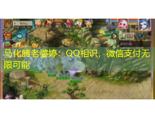 馬化騰老婆婷：QQ相識，微信支付無限可能