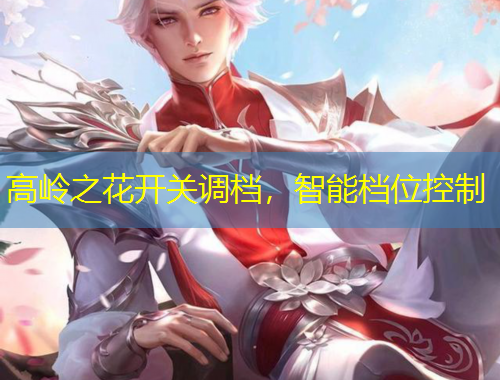 高嶺之花開(kāi)關(guān)調(diào)檔，智能檔位控制