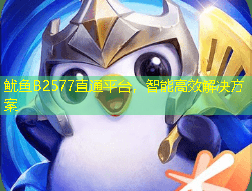魷魚(yú)B2577直通平臺(tái)，智能高效解決方案