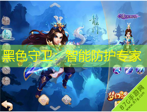 黑色守衛(wèi)：智能防護(hù)專家