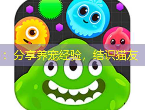 ：分享養(yǎng)寵經(jīng)驗，結(jié)識貓友