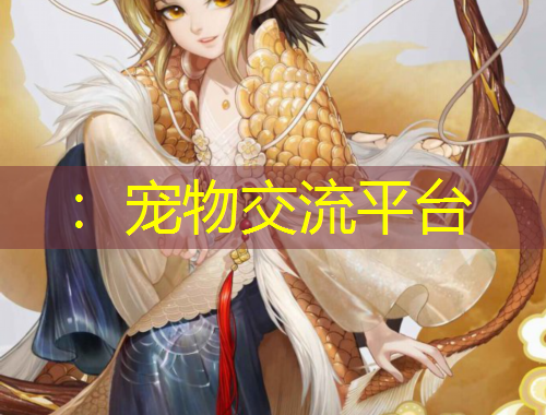 ：寵物交流平臺