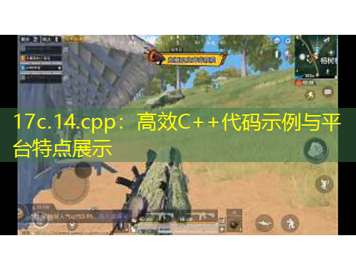 17c.14.cpp：高效C++代碼示例與平臺(tái)特點(diǎn)展示