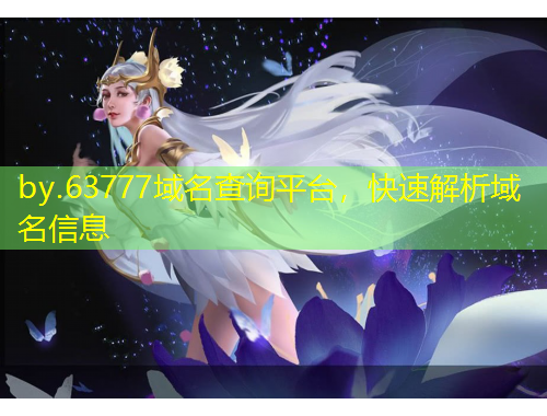 by.63777域名查詢平臺，快速解析域名信息