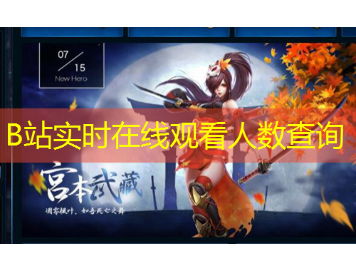 B站實時在線觀看人數(shù)查詢