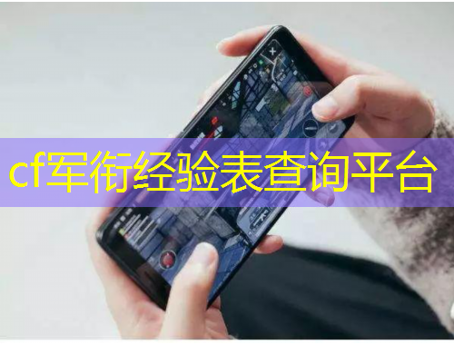 cf軍銜經(jīng)驗表查詢平臺