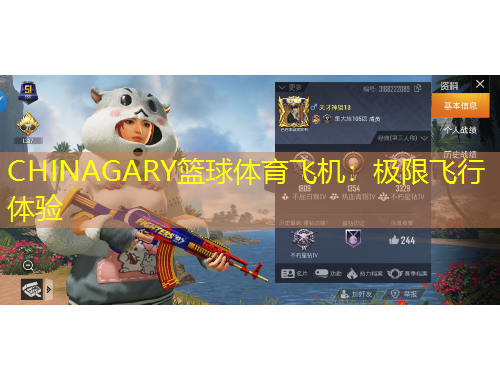 CHINAGARY籃球體育飛機(jī)：極限飛行體驗(yàn)