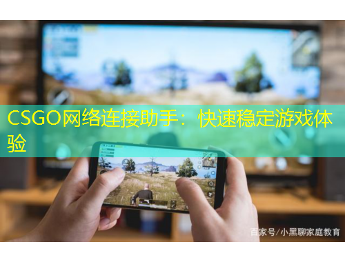 CSGO網(wǎng)絡連接助手：快速穩(wěn)定游戲體驗