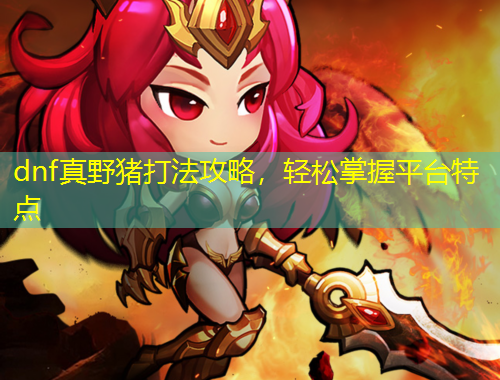 dnf真野豬打法攻略，輕松掌握平臺特點