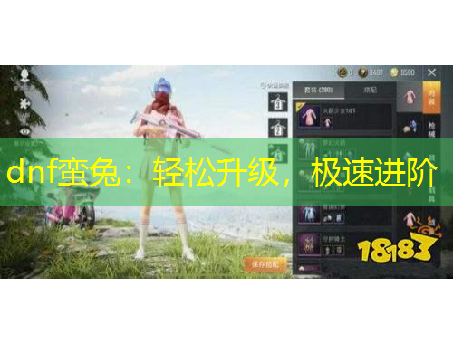 dnf蠻兔：輕松升級(jí)，極速進(jìn)階