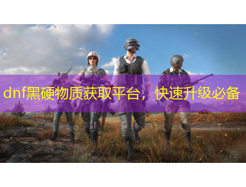 dnf黑硬物質(zhì)獲取平臺，快速升級必備