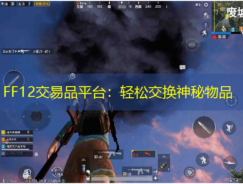 FF12交易品平臺(tái)：輕松交換神秘物品