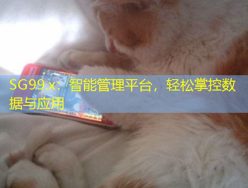 SG99.x：智能管理平臺，輕松掌控數(shù)據(jù)與應(yīng)用