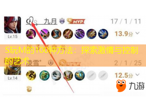 S玩M的100種方法：探索激情與控制的藝術(shù)