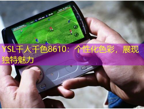YSL千人千色8610：個性化色彩，展現(xiàn)獨特魅力