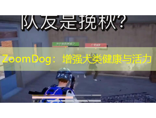 ZoomDog：增強(qiáng)犬類健康與活力