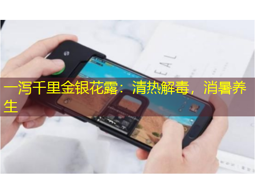 一瀉千里金銀花露：清熱解毒，消暑養(yǎng)生