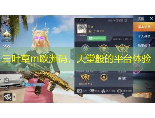 三葉草m歐洲碼，天堂般的平臺體驗