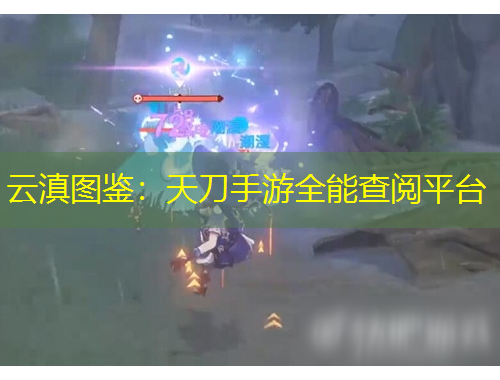 云滇圖鑒：天刀手游全能查閱平臺