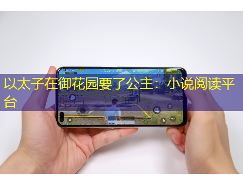 以太子在御花園要了公主：小說(shuō)閱讀平臺(tái)