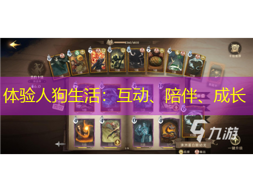 體驗人狗生活：互動、陪伴、成長