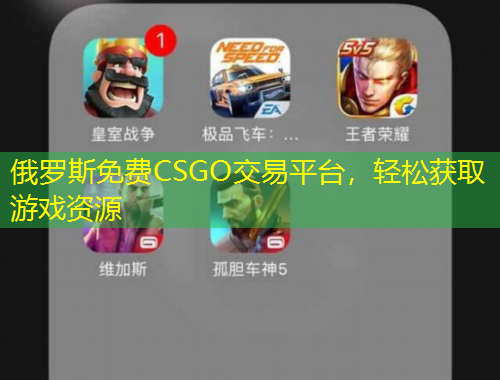 俄羅斯免費(fèi)CSGO交易平臺(tái)，輕松獲取游戲資源