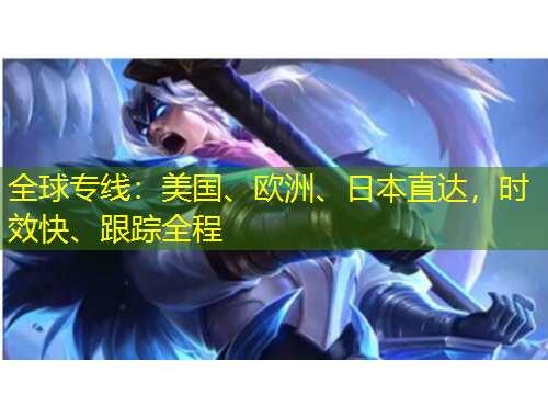 全球專線：美國、歐洲、日本直達，時效快、跟蹤全程