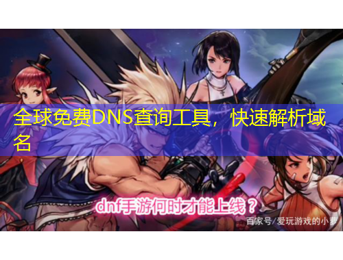 全球免費DNS查詢工具，快速解析域名